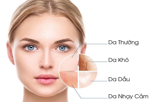massage mặt nhiều đem lại lợi ích gì Mát xa mặt nhiều có tốt không? - Các loại da