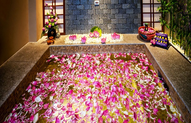 Massage trị liệu - sen spa